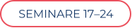 SEMINARE 17–24